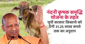 Nandini Krishak Samridhi Yojana: नंदनी कृषक समृद्धि योजना के तहत यूपी सरकार किसानो को देगी 31.25 लाख रूपये तक का अनुदान